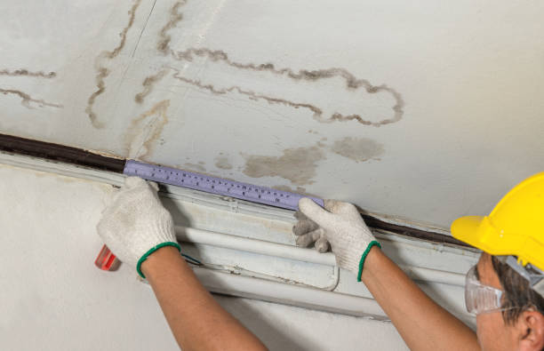Reliable Burst Pipe Cleanup contractor in National City, CA by Water Damage Irwin
